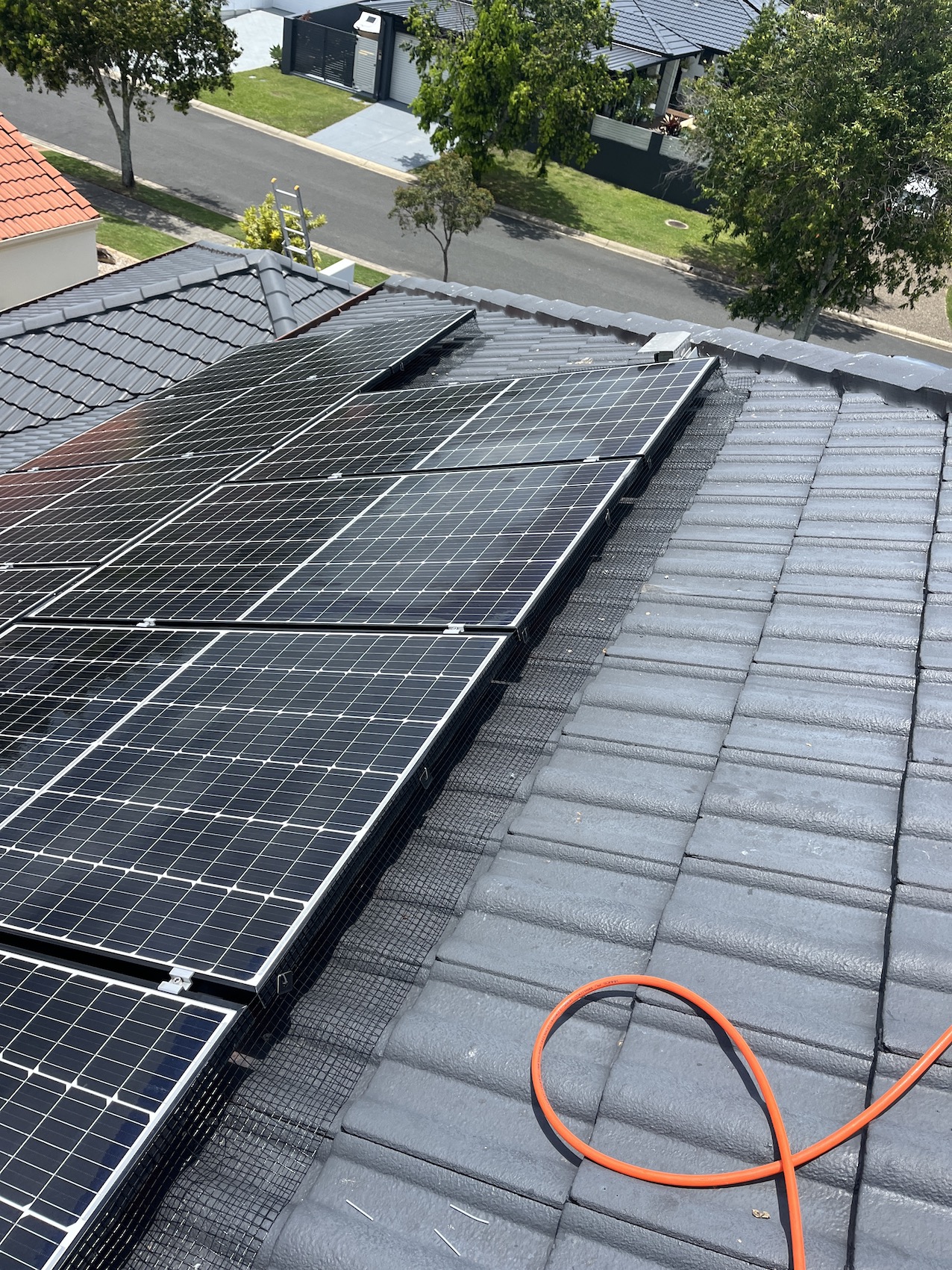 Bird Proofing Gold Coast
