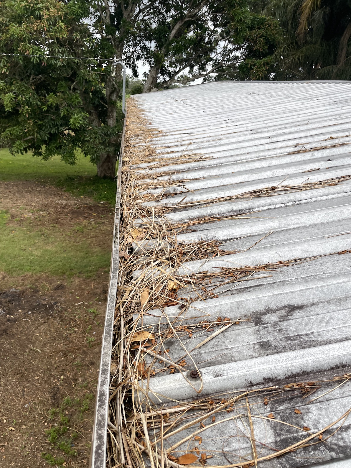 Clogged Gutters