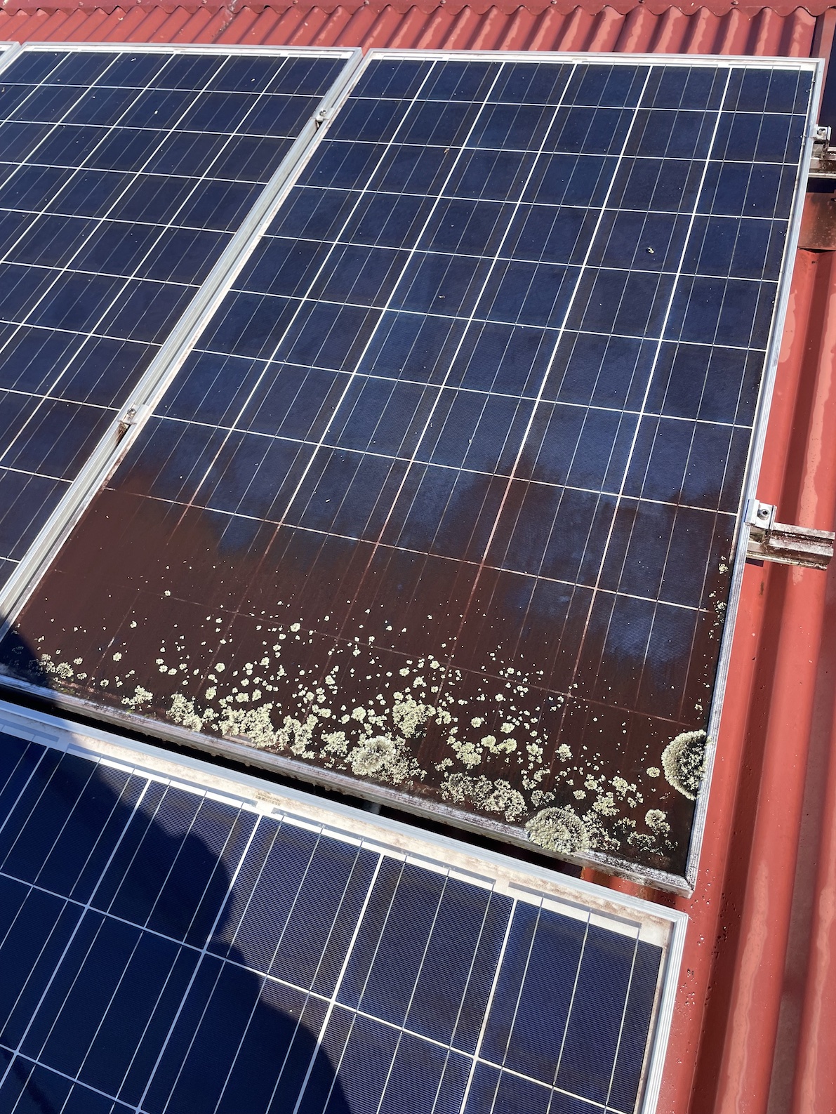 Lichen Covered Solar Panels Uki