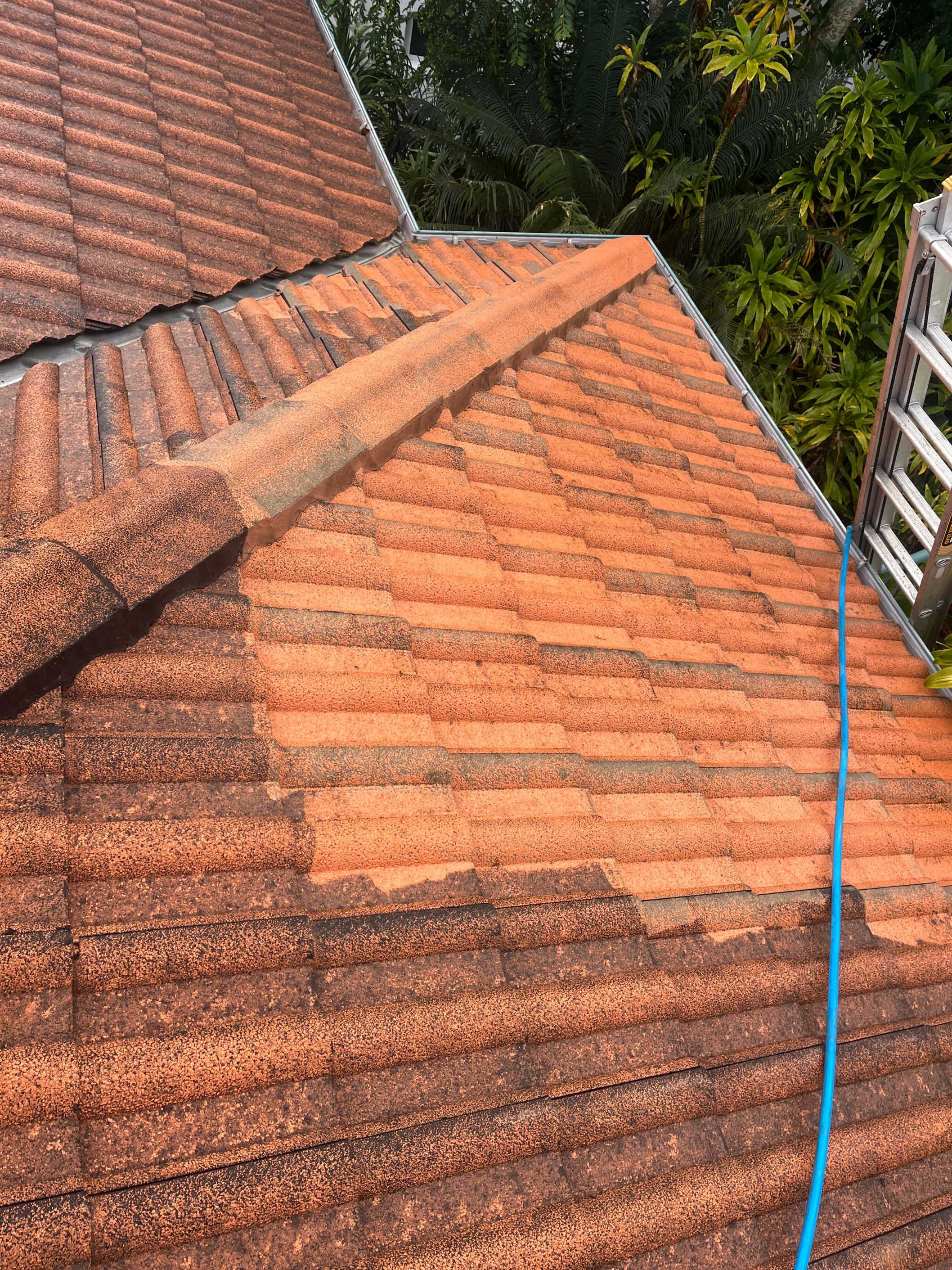 Softwash Exterior Pressure Cleaning Casuarina